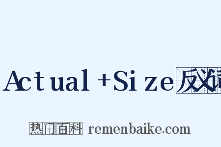 Actual+Size反义词是什么意思的图片